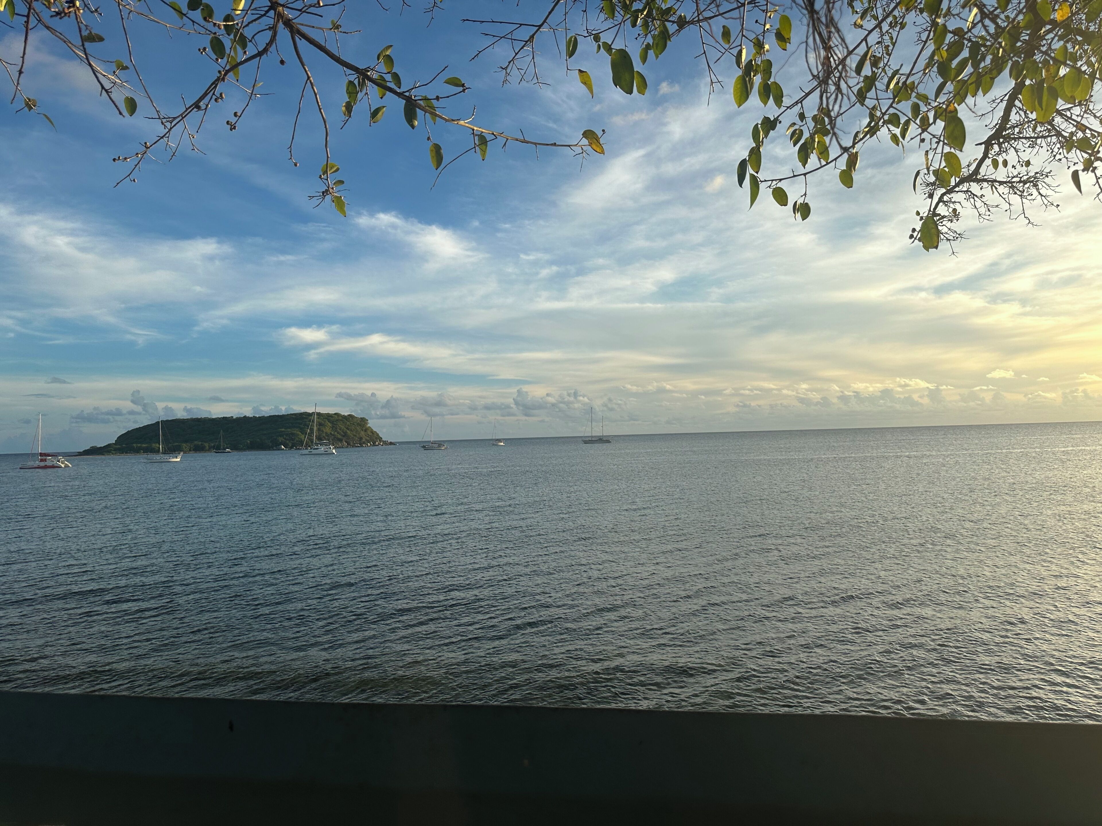 View from property
