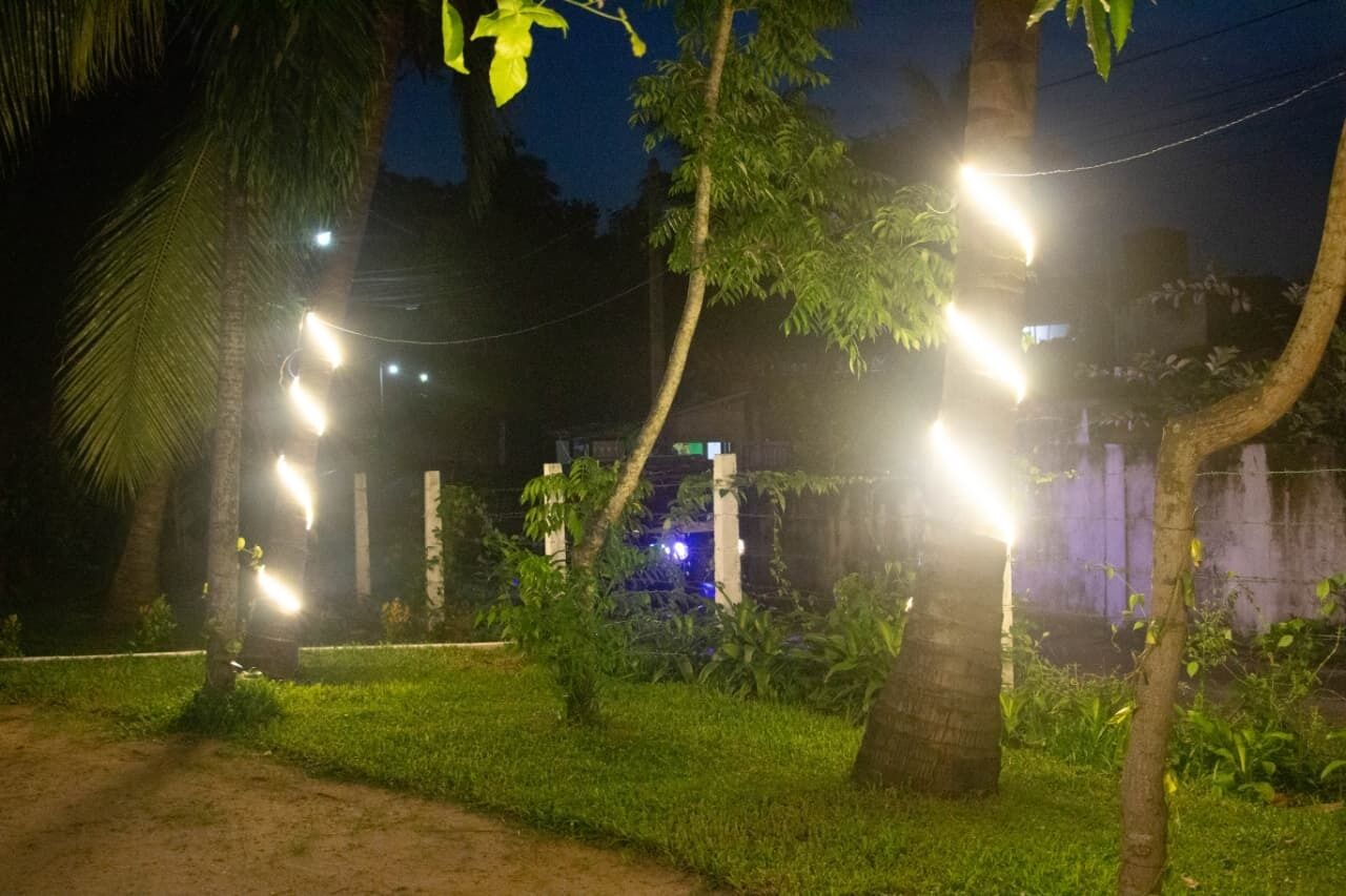 A nighttime outdoor area with string lights, palm trees, and a concrete wall.