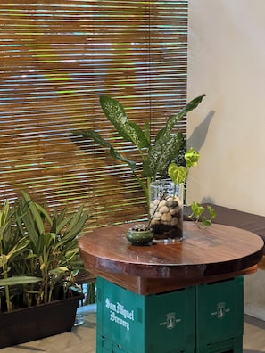 A wooden table with a green base labeled 'San Miguel Brewery' and a potted plant with variegated leaves.