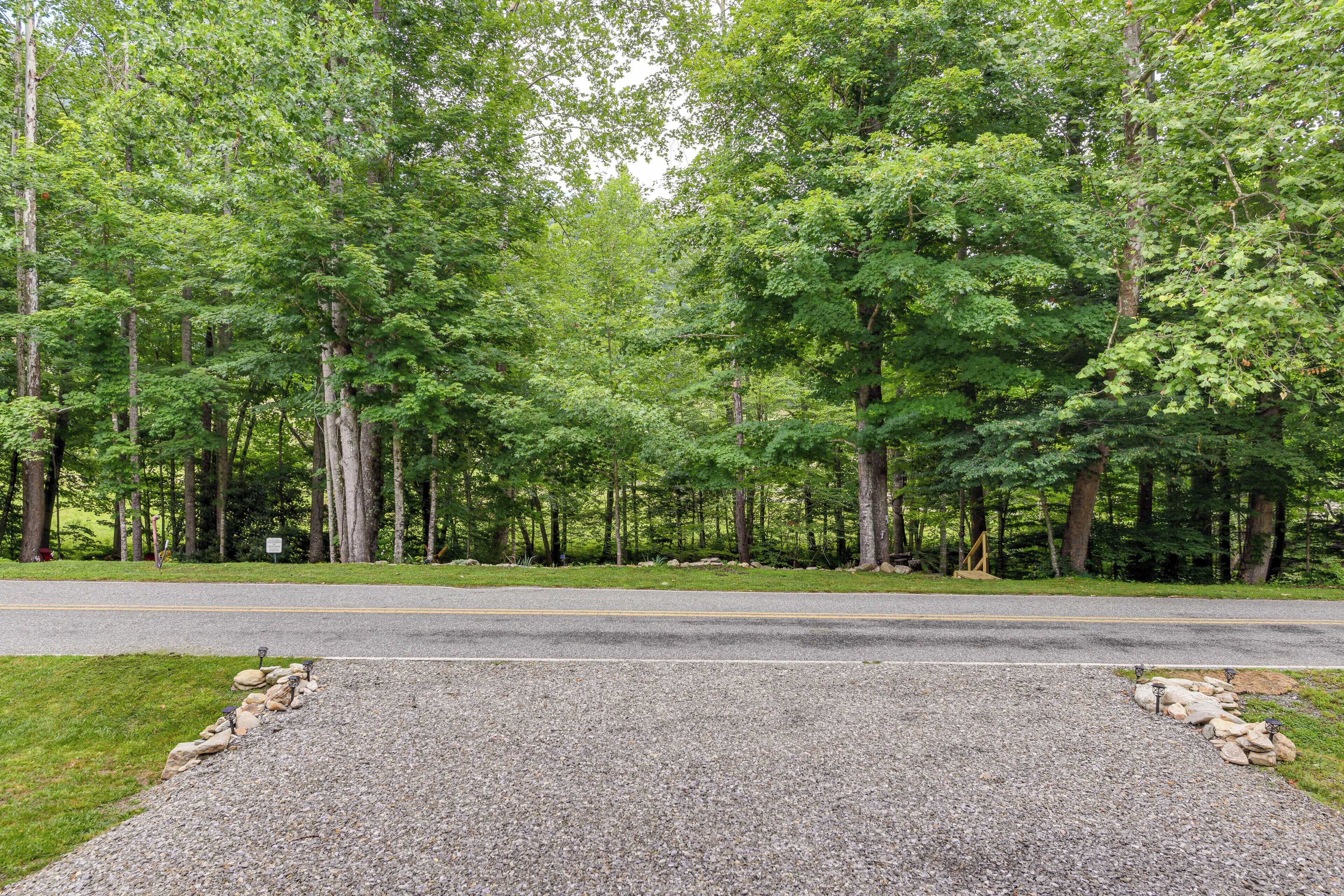 A gravel driveway leading to a road surrounded by dense green trees.