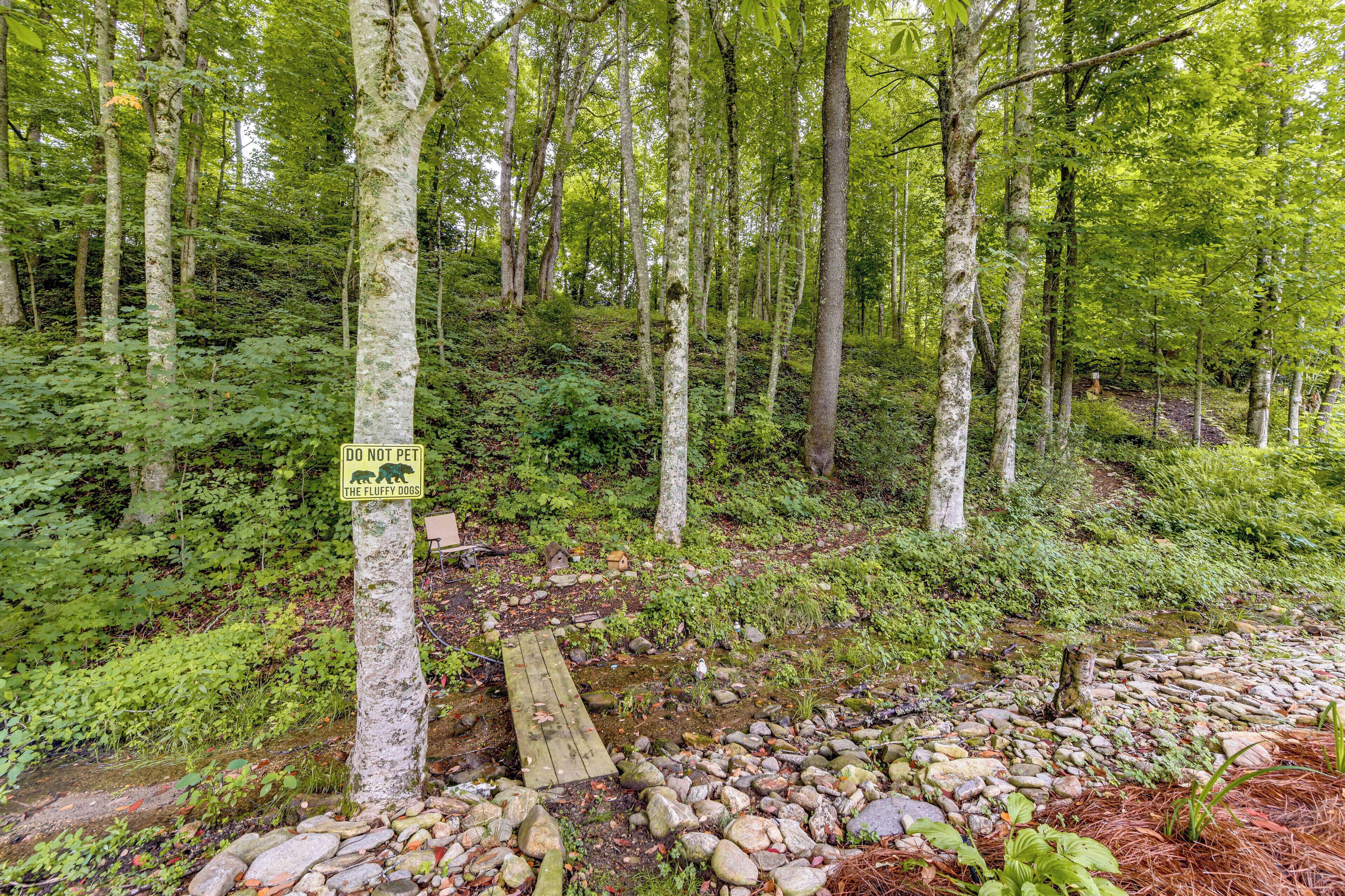 A forested area with a wooden bridge over a stream, surrounded by trees and greenery.