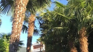 Property grounds - Lake Maggiore - Great Location + Beach, ViraLago 407 (Gambarogno)