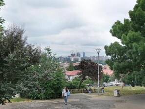 Miscelánea