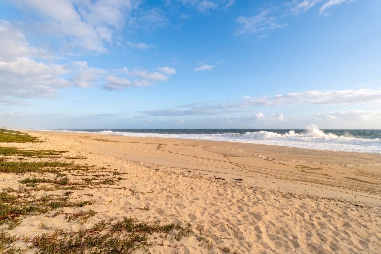 Uma praia arenosa com ondas, céu claro e vegetação rala.