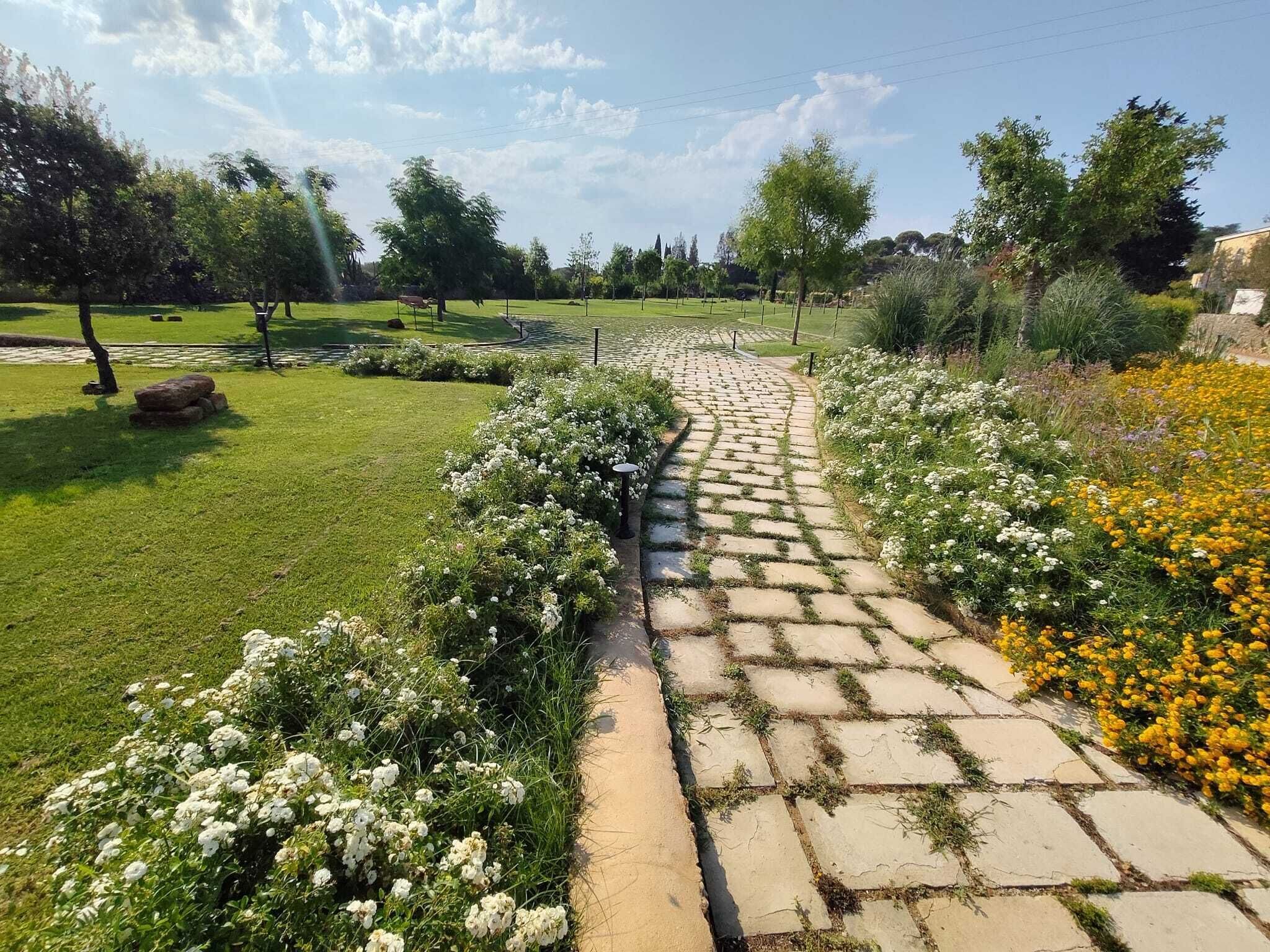 A stone pathway leading through a garden with white and yellow flowers, surrounded by grass and trees.