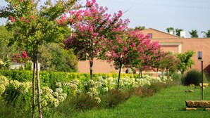 A garden with flowering trees and well-maintained grass. - Villa Arborea  (Trepuzzi)