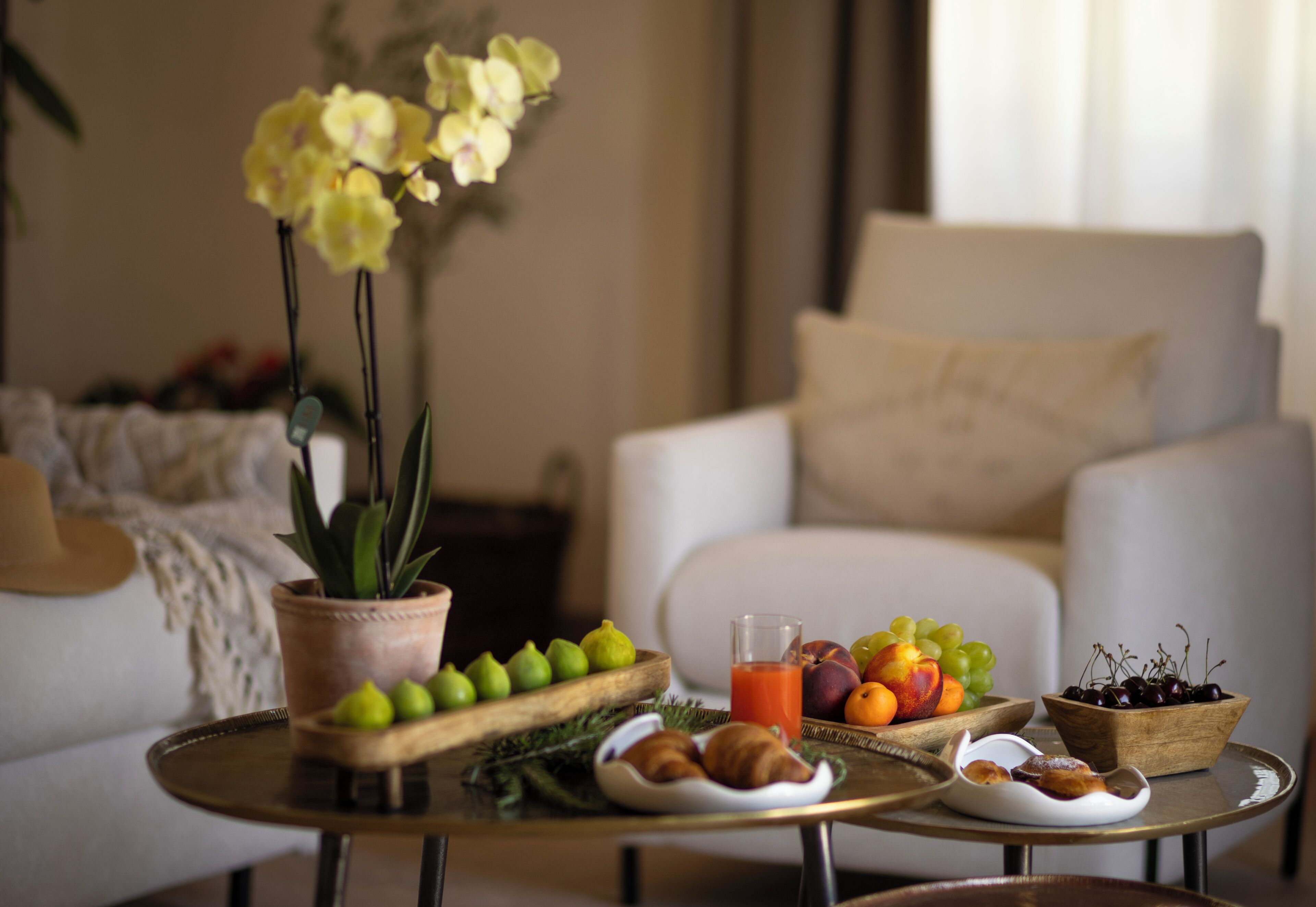 Un salon avec un canapé, une table basse sur laquelle sont disposés des fruits et des pâtisseries, et une plante en pot.