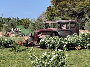 An old, rusted car parked in a grassy area with white flowers and trees in the background.
