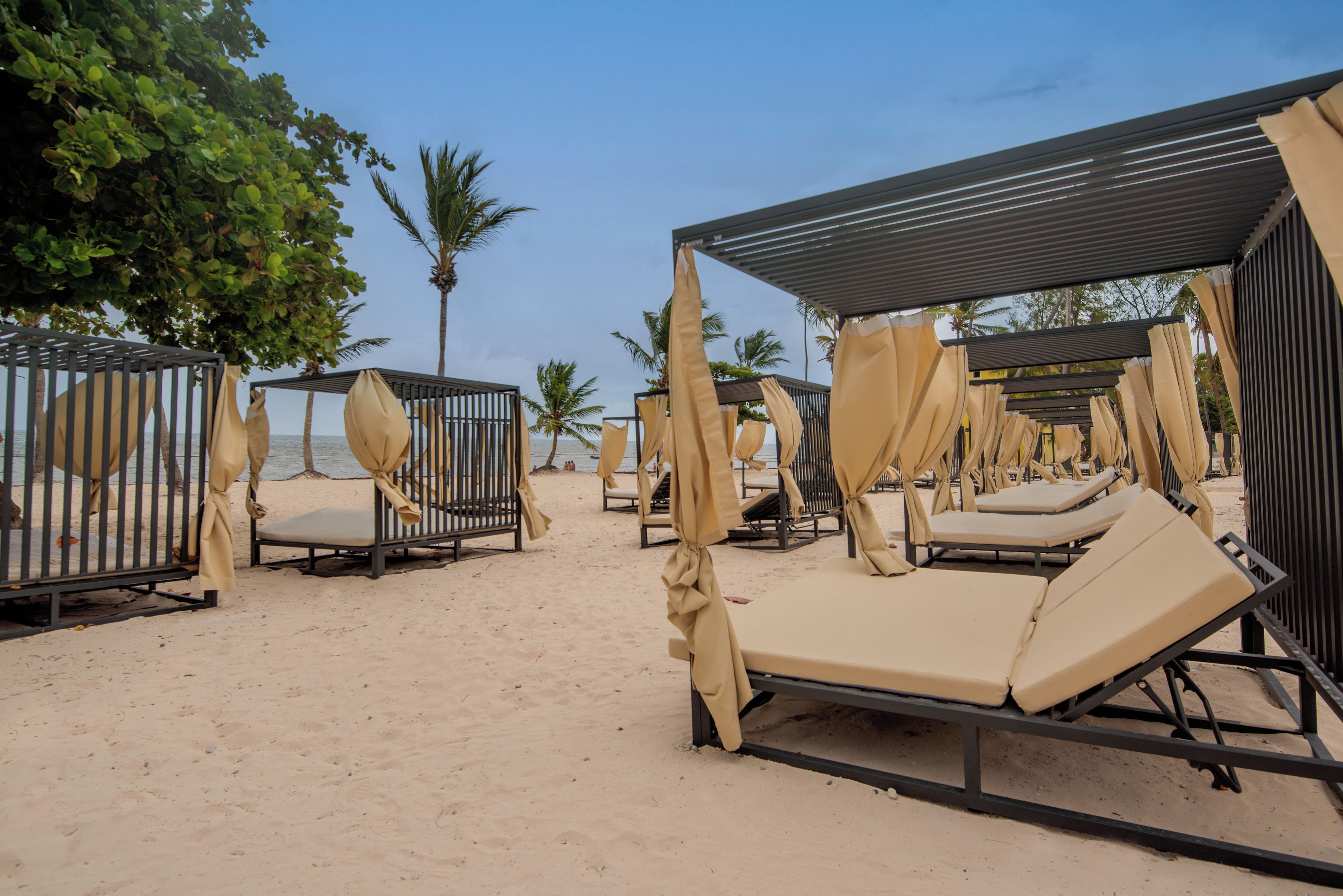 Een terras aan het strand met ligbedden en schaduwrijke zitplaatsen, omringd door palmbomen en een heldere lucht.