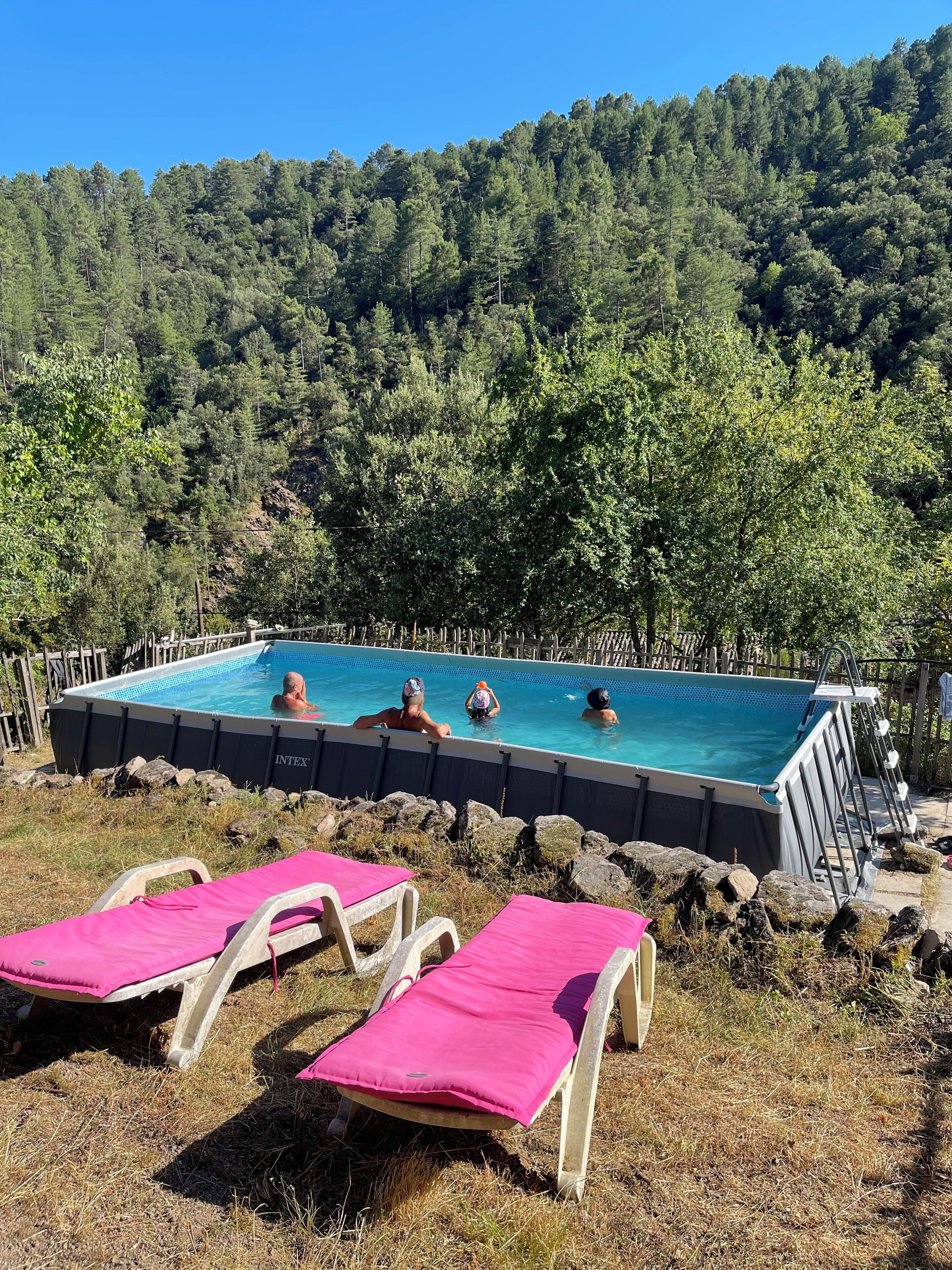 An outdoor swimming pool with a forested hillside in the background.