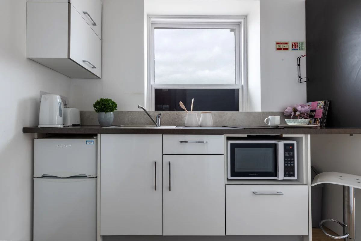 Studio, Non Smoking | Private kitchen | Fridge, microwave, oven, stovetop