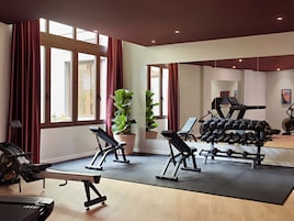 Un gimnasio con equipo de ejercicio, ventanas amplias y plantas en macetas.