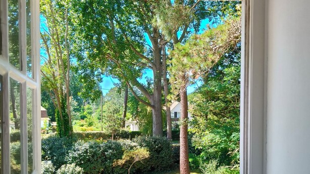 Une fenêtre donnant sur un jardin, avec des arbres et une pelouse.