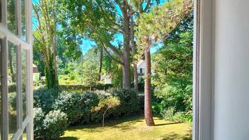 Une fenêtre donnant sur un jardin, avec des arbres et une pelouse.