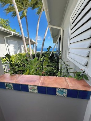 A house with a tiled porch, palm trees, and a view of the ocean. - Brizan Villa – Private 3 Bedroom Caribbean Retreat with Pool, Hot Tub & Stunning Reef Bay Views in St. John, USVI (St John)