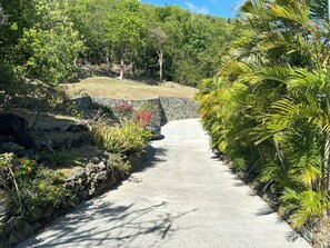 A paved pathway flanked by lush greenery and a stone wall. - Brizan Villa – Private 3 Bedroom Caribbean Retreat with Pool, Hot Tub & Stunning Reef Bay Views in St. John, USVI (St John)