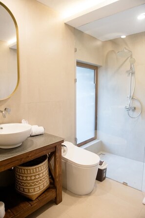 Shower, hair dryer, bidet, towels