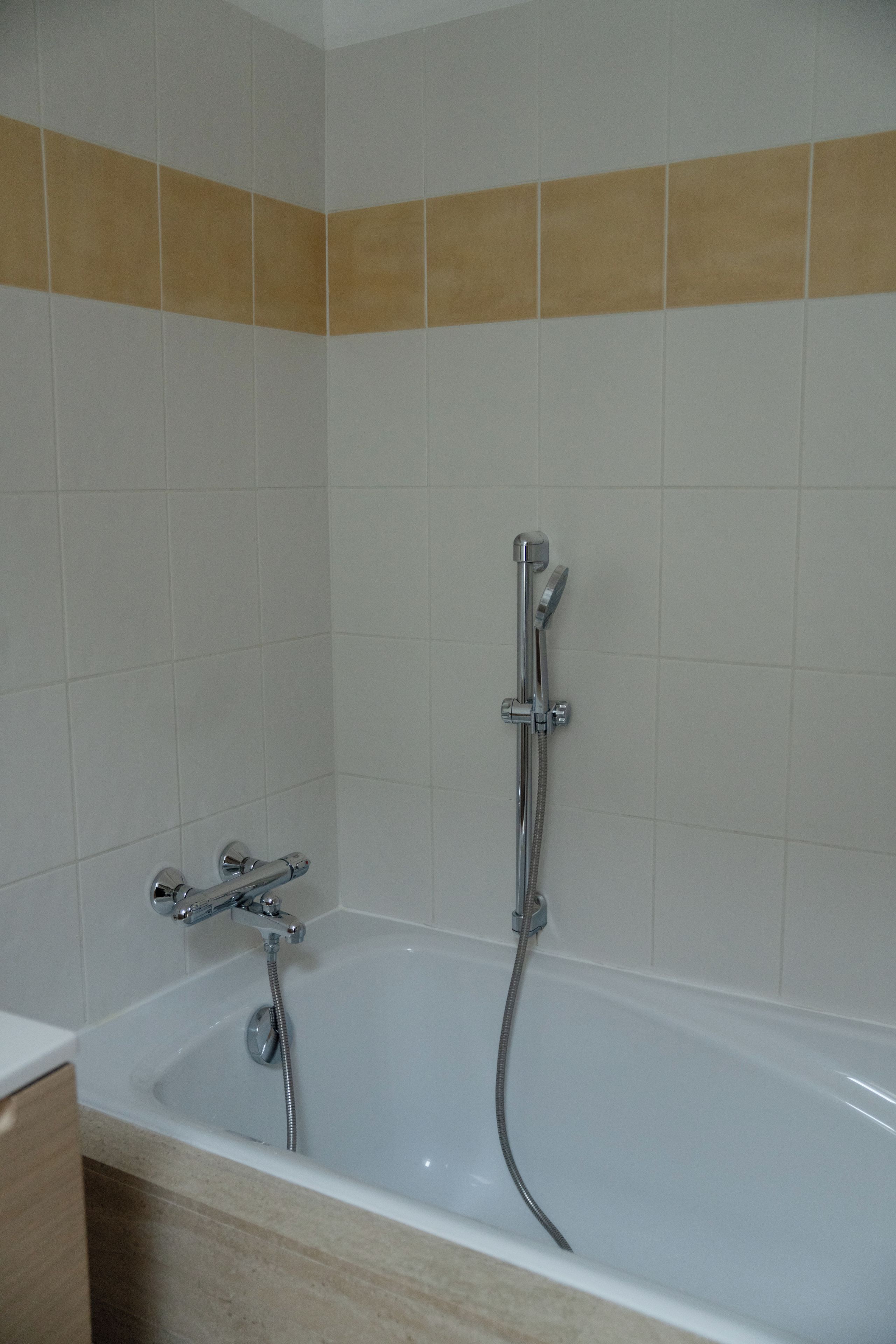 Un baño con bañera, ducha y retrete.