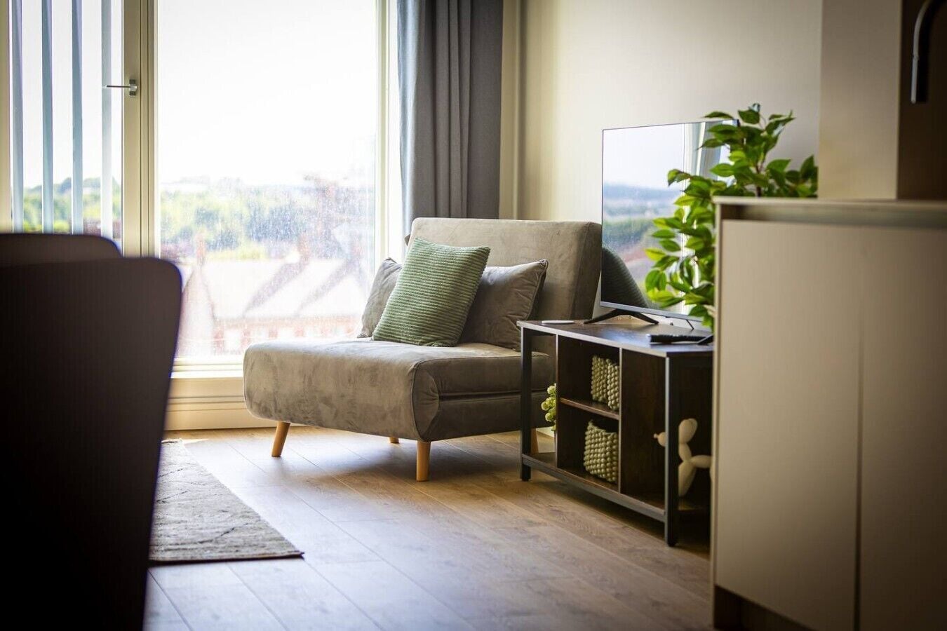 A modern living room with a sofa, a side table, and a plant.