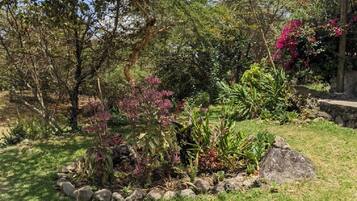 Classic Single Room, Mountain View | Property grounds