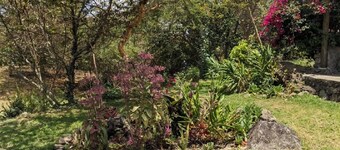 Giraffe Gallery Home-Josmac Tours & Arts