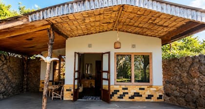 Giraffe Gallery Home-Josmac Tours & Arts