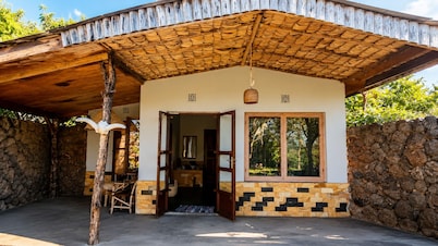 Giraffe Gallery Home-Josmac Tours & Arts