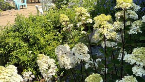 A garden with hydrangea flowers, a covered patio, and outdoor furniture. - 🌿 Domaine Saint François – L'Îlot Cocooning (Saint-Hernin)