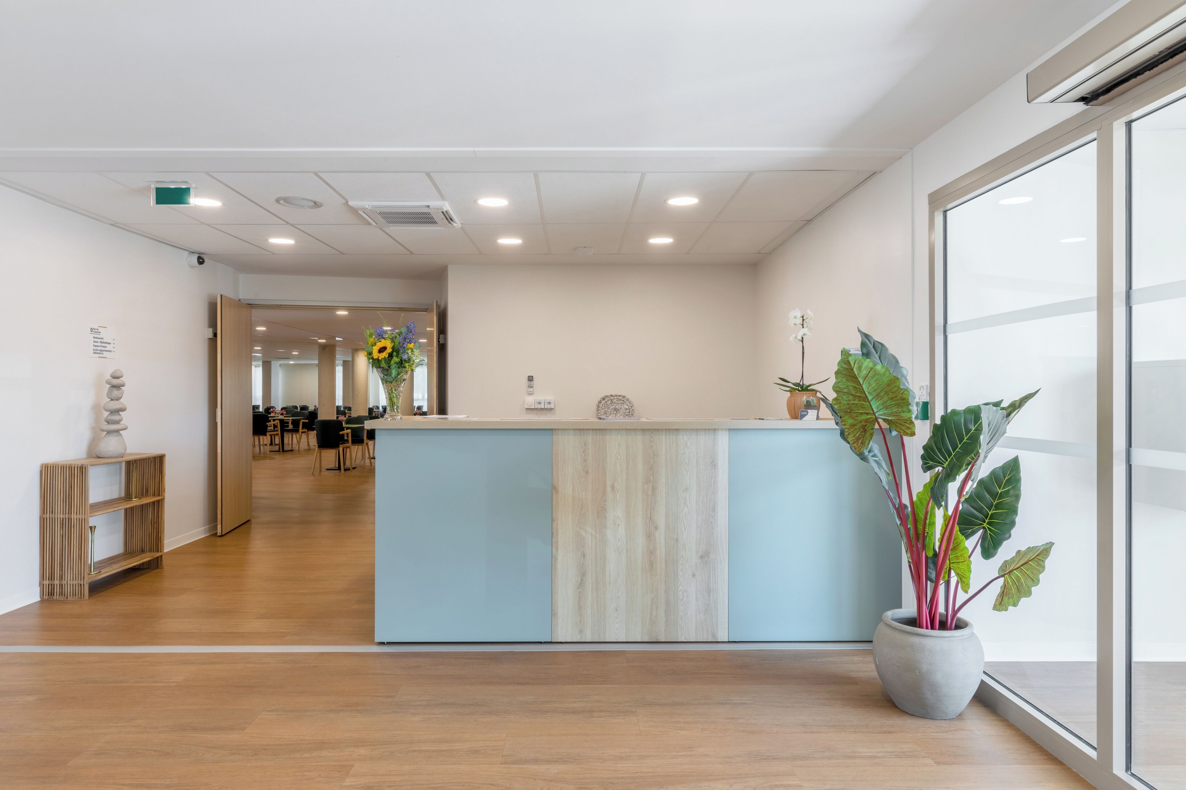 A reception area with a wooden reception desk, a potted plant, and a view through a large window.