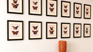A wall with framed butterfly illustrations and a wooden console table with a patterned vase.