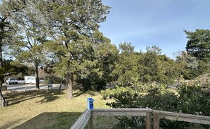 A wooded area with a white truck parked on the side of a road. - IR54: Cedarberry | Conveniently Located in the Heart of the Village (Ocracoke)