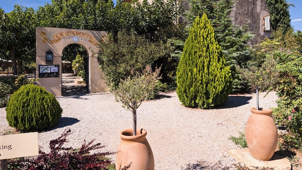 Un bâtiment historique doté d’une entrée en arc de cercle, entouré de plantes en pot et bordé d’un chemin de gravier.
