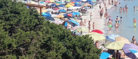 Playa