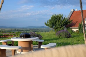 Outdoor dining - Balatoni Krokodil Vendégház (Nemesvita)