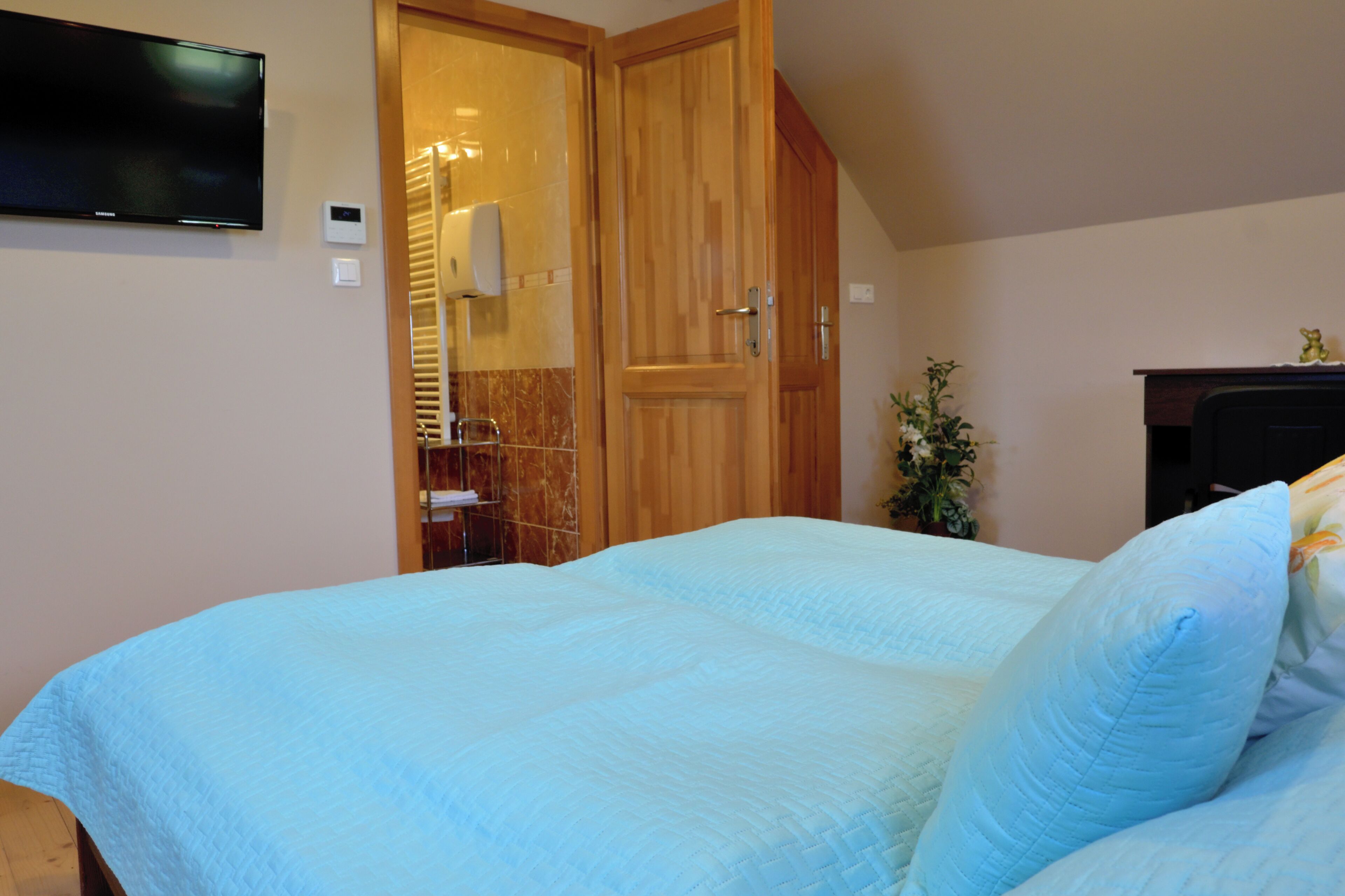 Une chambre à coucher avec un lit, une porte en bois, un téléviseur et une plante.