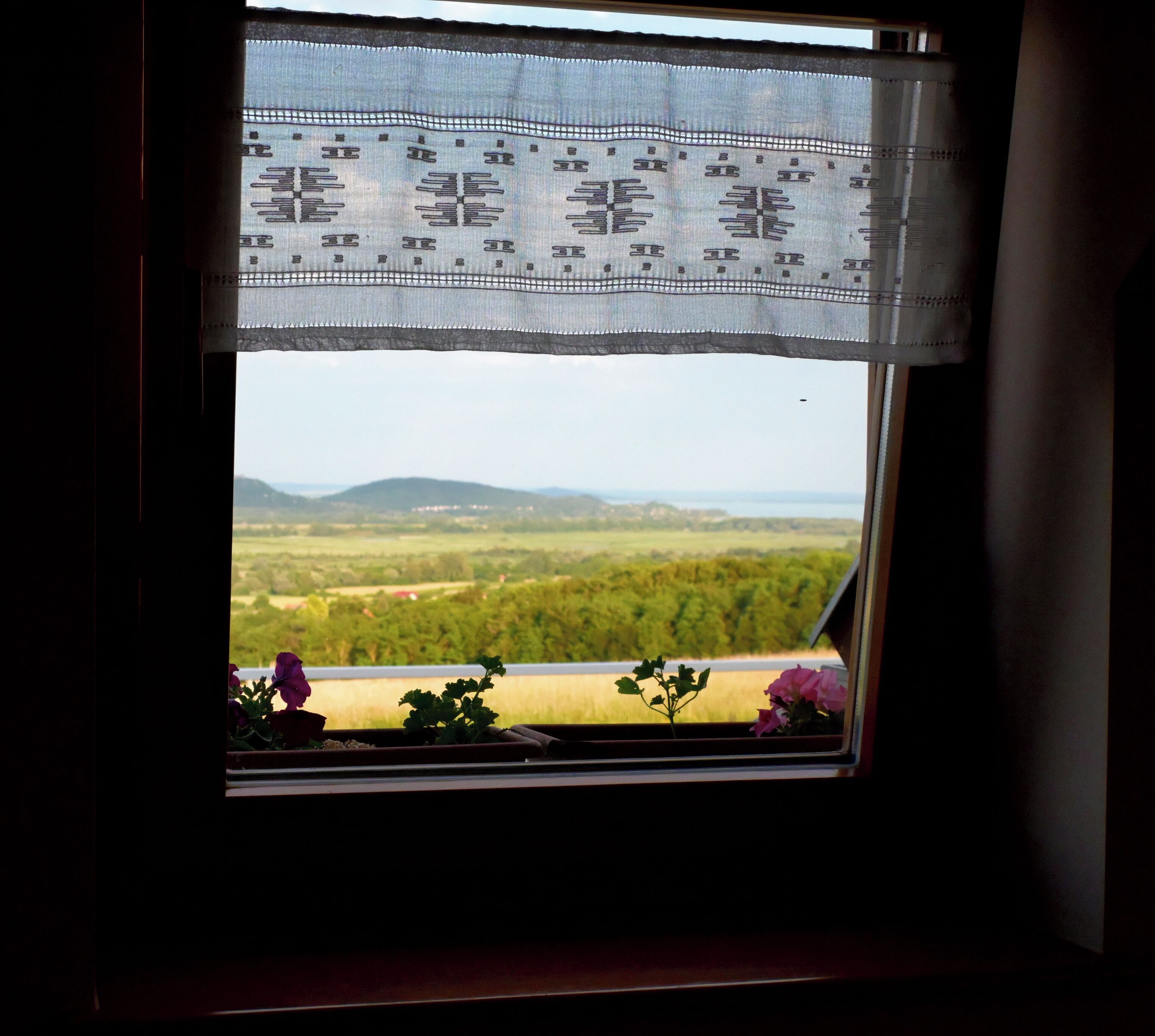 Uma janela com vista para uma paisagem, uma cortina e algumas flores.