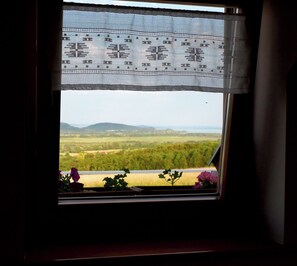 A window with a view of a landscape, a curtain, and some flowers.
