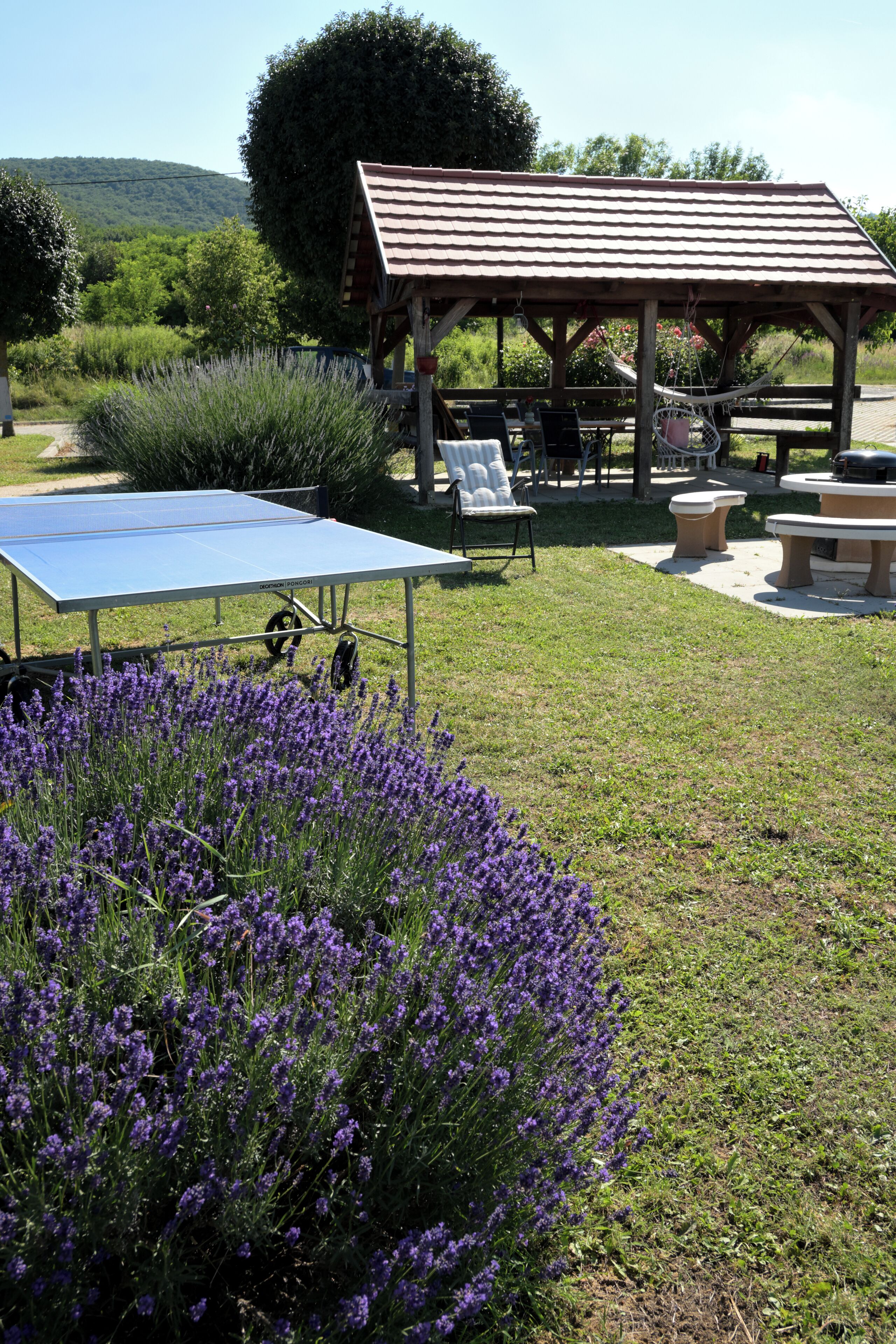 Een buitenruimte met een tafeltennistafel, zitplaatsen en een overdekte pergola.