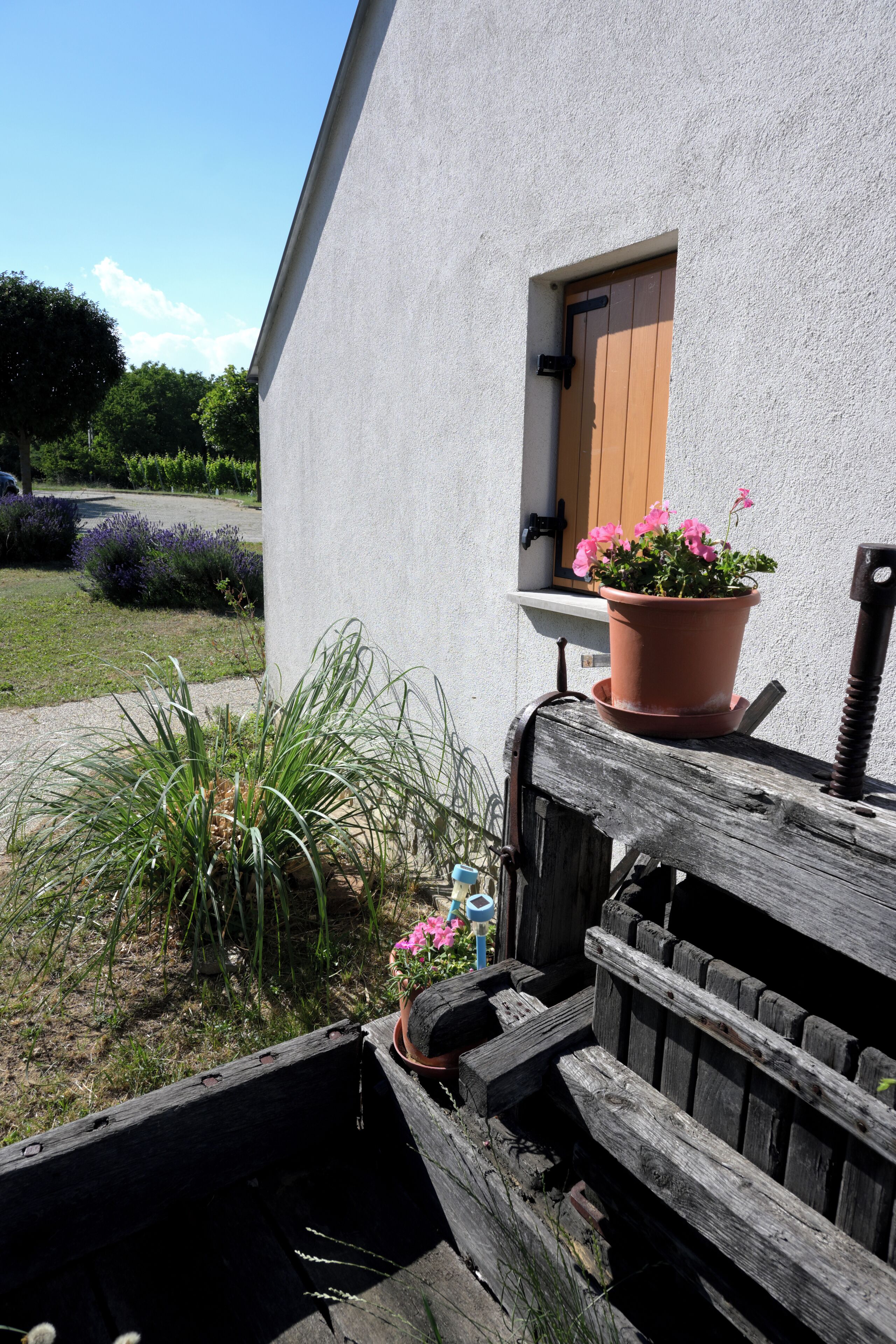 Un espacio al aire libre rústico con un banco de madera, una planta en maceta con flores rosadas y una ventana pequeña con puerta de madera.