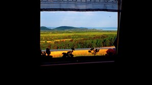 Nội thất