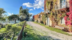 A cobblestone path leading to a building with ivy-covered walls and a bench.