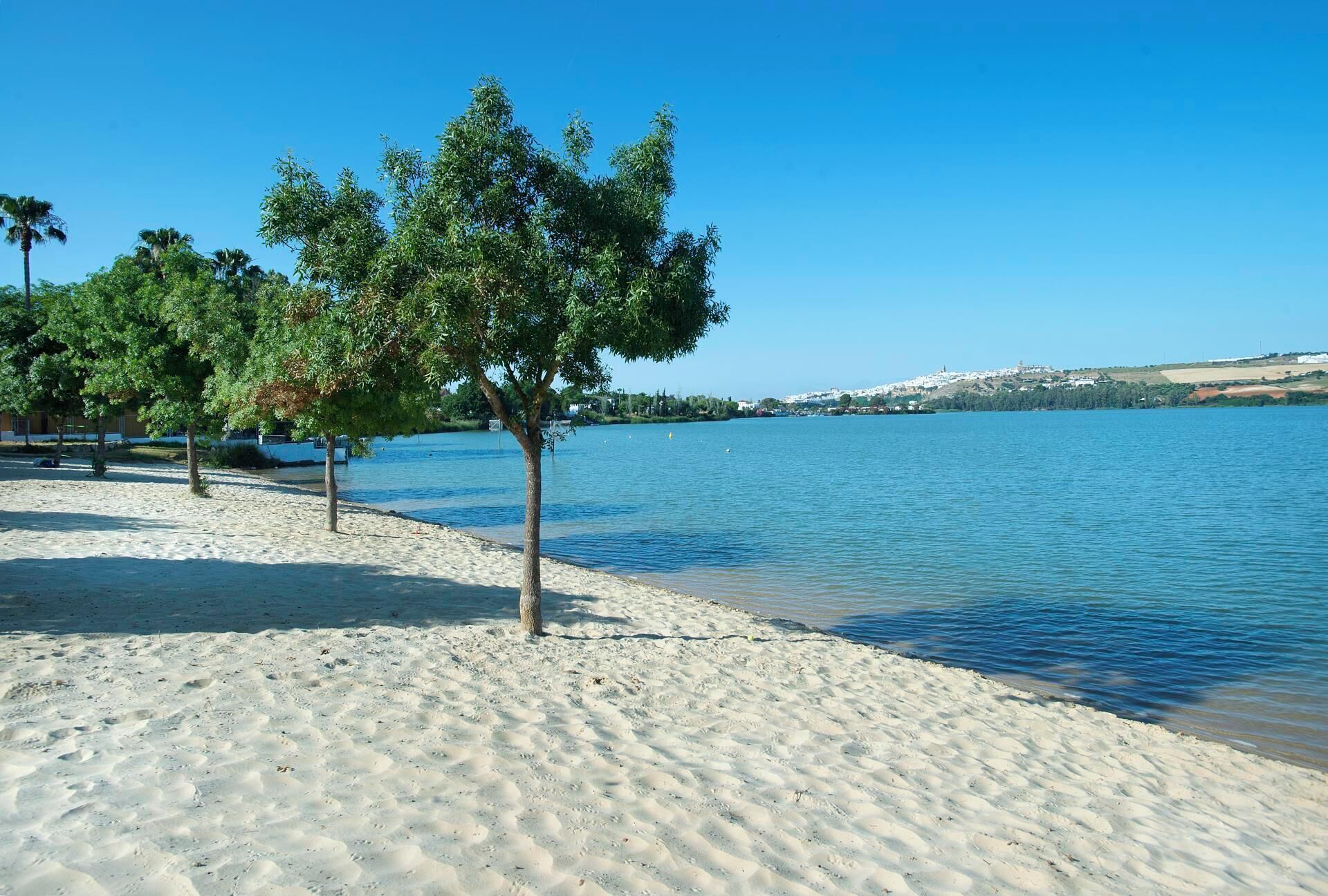 Una playa con orilla arenosa, algunos árboles y una superficie de agua tranquila.