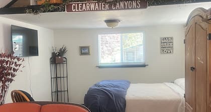 Adorable 1-bedroom cottage with AC in charming Riggins