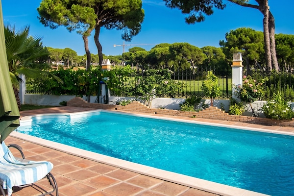 Swimming pool view