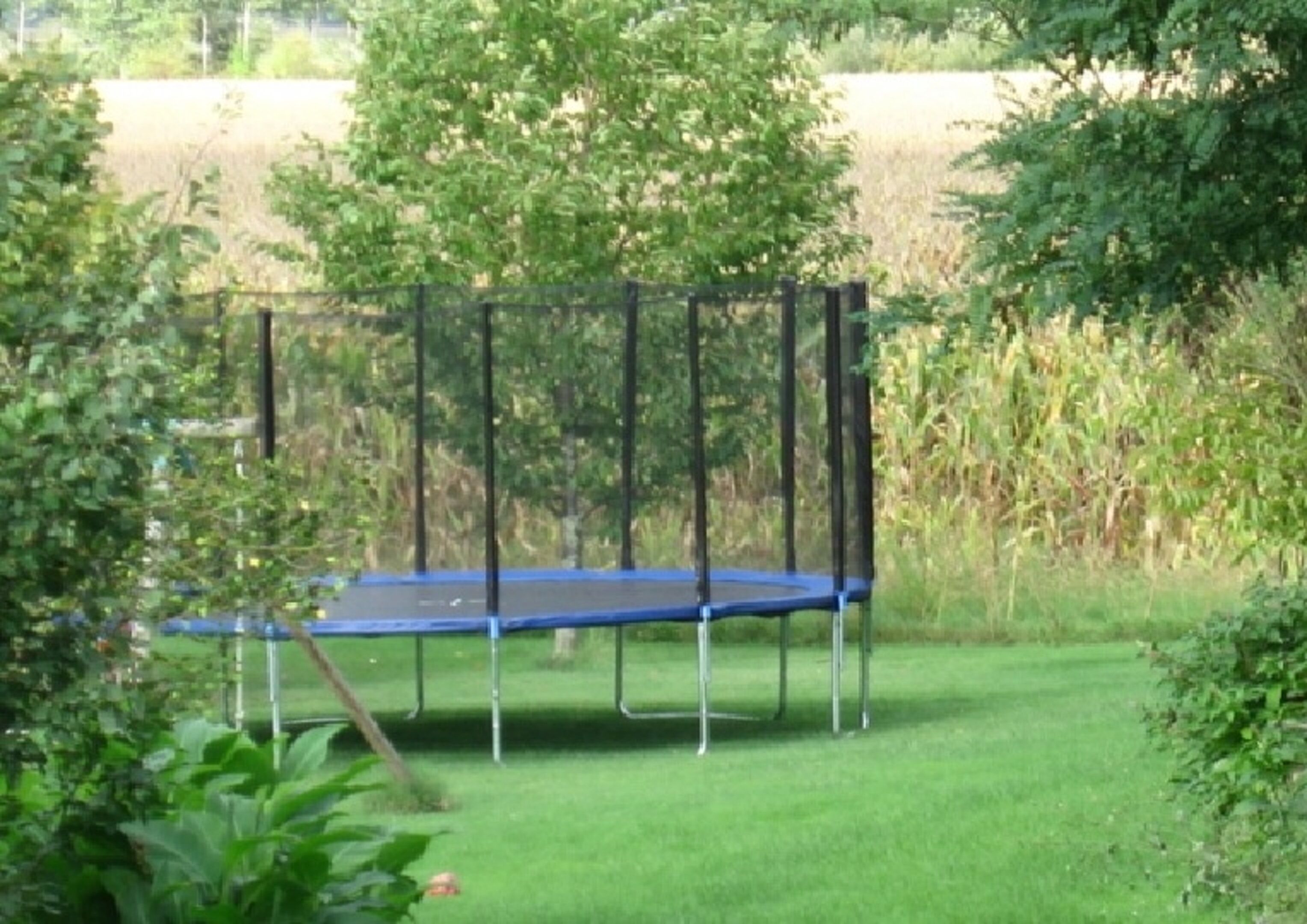 Swing