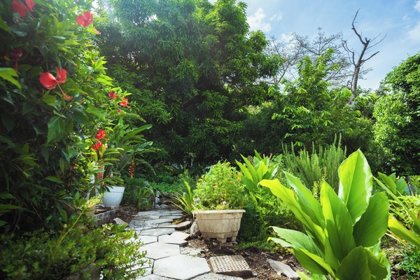 Garden
