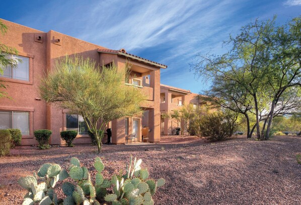 A multi-story building with a flat roof, a gravel driveway, and a cactus plant in the foreground.