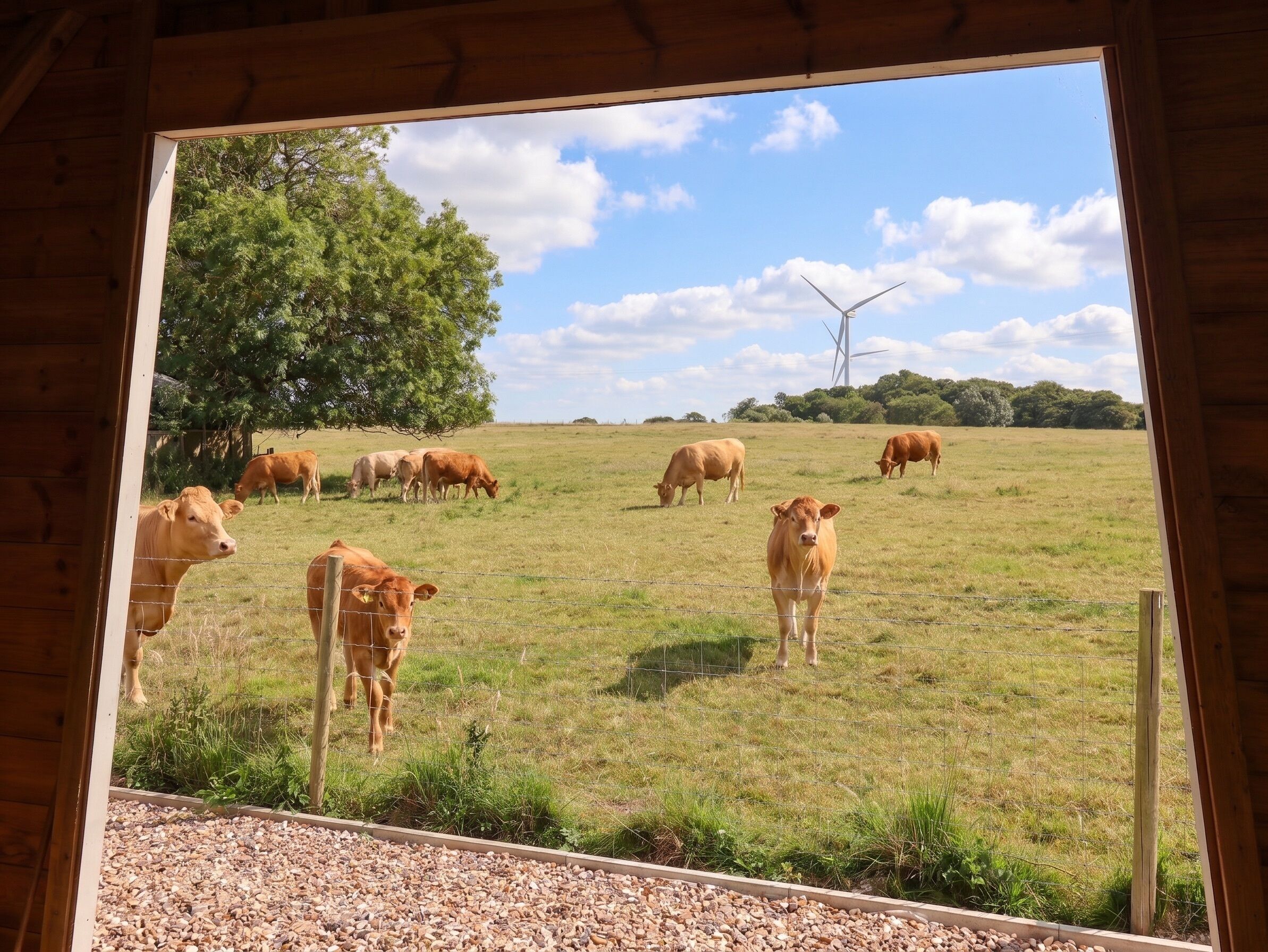 Vista de un campo con vacas y una turbina eólica a lo lejos.