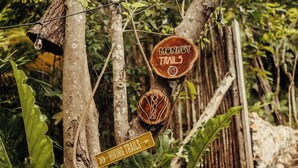 Un panneau indicateur en bois portant les mentions « Sentiers de randonnée » et « Sentiers des singes », entouré de verdure et bordé d’un chemin de pierres.