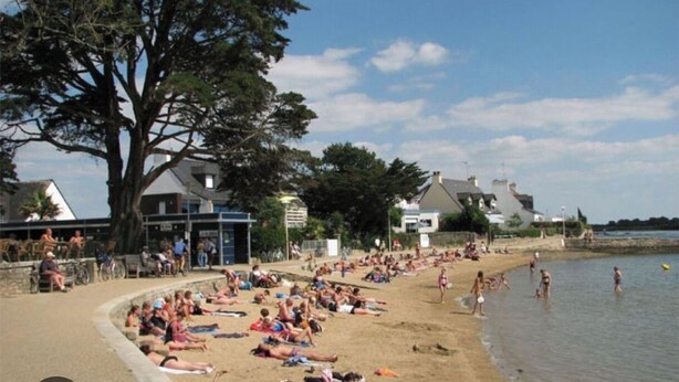 Uma praia com pessoas se banhando e tomando sol, uma árvore grande e casas ao fundo.
